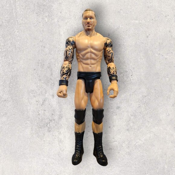 WWE True Moves Randy Orton Action Figure (12-inch) - Picture 1 of 13